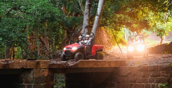 Quad or Buggy - Safari Sunset Tour | Bel Ombre Nature Reserve - Image 3