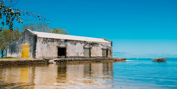 Bay2Bay Tour | Bel Ombre Nature Reserve - Image 2