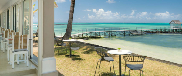 Tropical Attitude(Adults Only) - Image 9