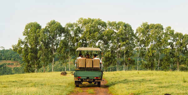 4x4 Safari Tour Discovery Trail | Bel Ombre Nature Reserve