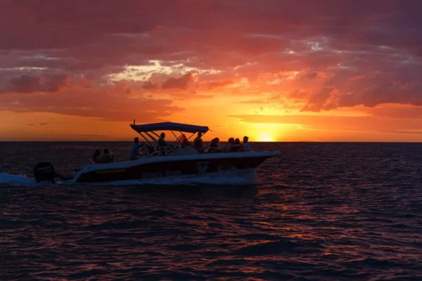 Sunset Catamaran (Shared) - Vavavoom Cruise - Image 4