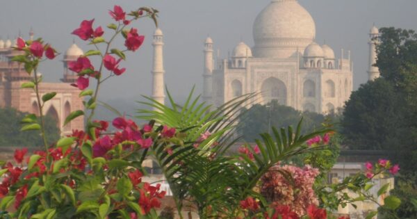 India's Golden Triangle Package - Image 4