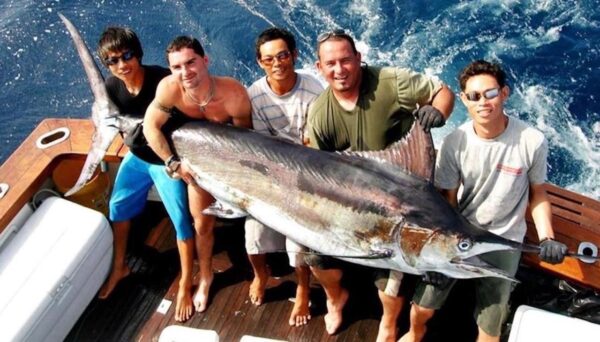 Big Game Fishing Adventures – 8 People per Boat (Half Day) - Image 4