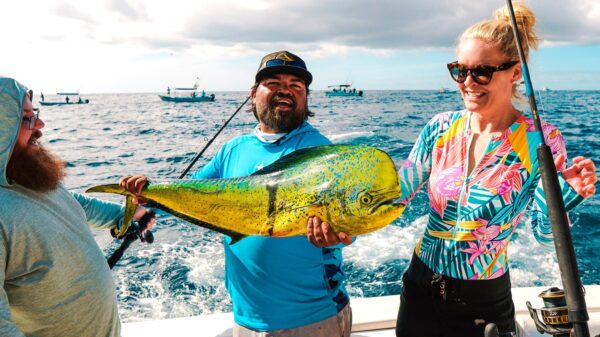 Big Game Fishing Adventures – 8 People per Boat (Half Day) - Image 3