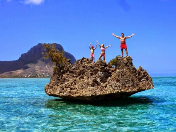 Excursion- Swim with Dolphins + Visit to Crystal Rock - 8 people per boat - Image 6