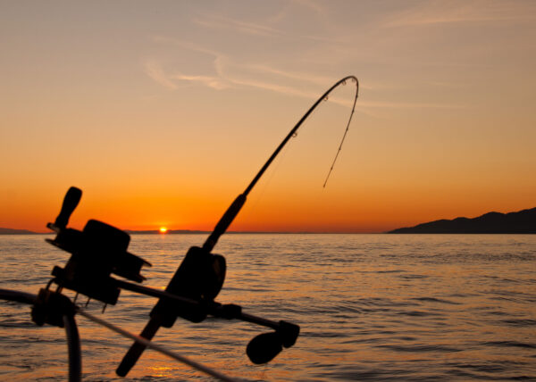 Big Game Fishing Adventures – 8 People per Boat (Half Day) - Image 2