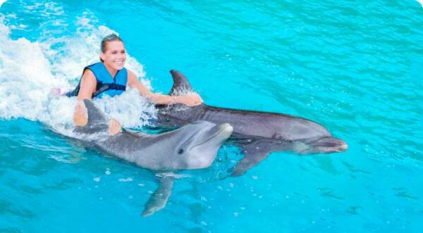 Excursion- Swim with Dolphins + Visit to Crystal Rock - 8 people per boat