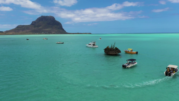 Excursion- Swim with Dolphins + Visit to Crystal Rock - 8 people per boat - Image 5